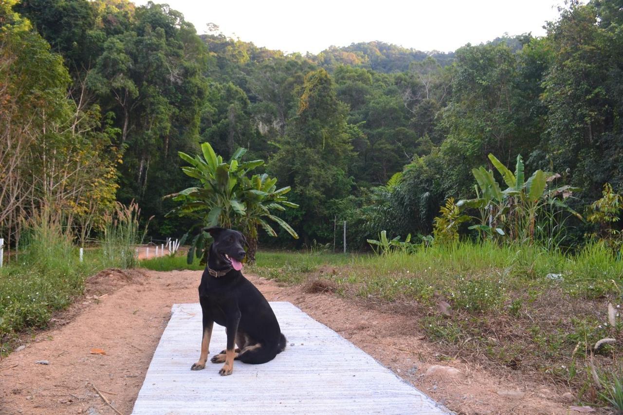 Homebar Koh Chang Zewnętrze zdjęcie