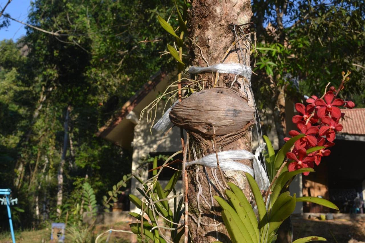 Homebar Koh Chang Zewnętrze zdjęcie